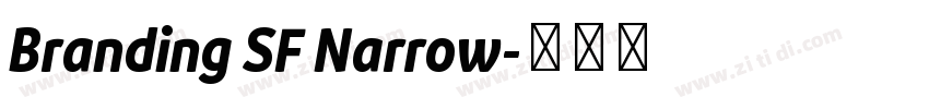 Branding SF Narrow字体转换